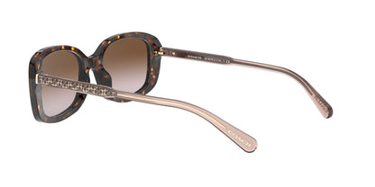 COACH HC8278 L1114 512013 53 SUNGLASSES