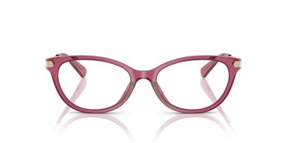 COACH HC6245U 5824 53 FRAME