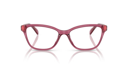 COACH HC6243U 5824 49 FRAME