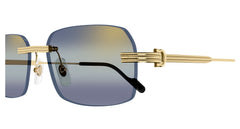 CARTIER CT0271S 006 58 SUNGLASSES