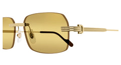 CARTIER CT0271S 007 58 SUNGLASSES