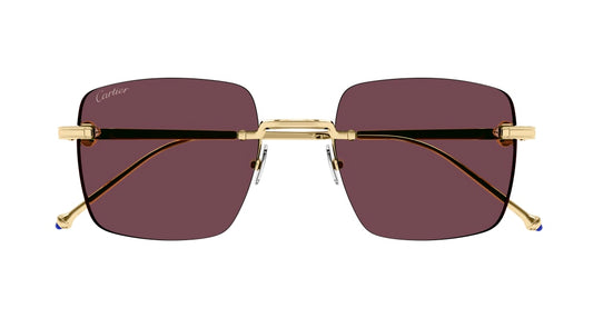 CARTIER CT0403S 003 52 SUNGLASSES