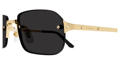 CARTIER CT0460S 001 56 SUNGLASSES