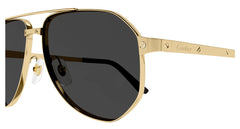 CARTIER CT0461S 001 60 SUNGLASSES