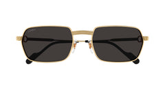 CARTIER CT0463S 001 56 SUNGLASSES