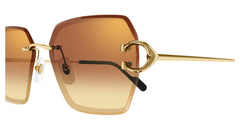 CARTIER CT0466S 004 58 SUNGLASSES