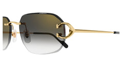 CARTIER CT0468S 001 58 SUNGLASSES