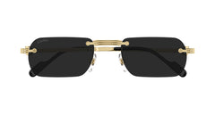 CARTIER CT0499S 001 55 SUNGLASSES