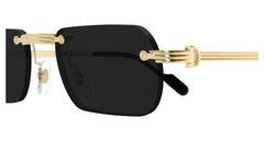 CARTIER CT0499S 001 55 SUNGLASSES