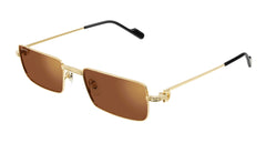 CARTIER CT0501S 002 52 SUNGLASSES