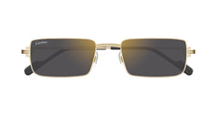 CARTIER CT0501S 005 54 SUNGLASSES