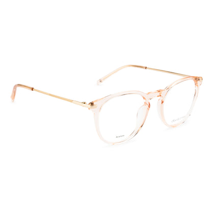 DAVID JONES DJ0479 C5 49 FRAME