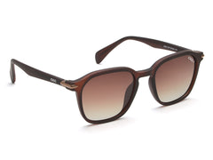 iDEE S2930 C2P 52 SUNGLASSES