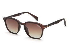 iDEE S2930 C2P 52 SUNGLASSES