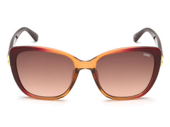 iDEE S3054 C2 57 SUNGLASSES