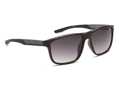 iDEE S3102 C2 58 SUNGLASSES