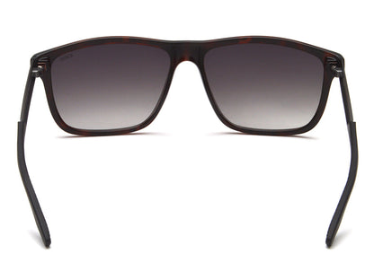 iDEE S3102 C2 58 SUNGLASSES