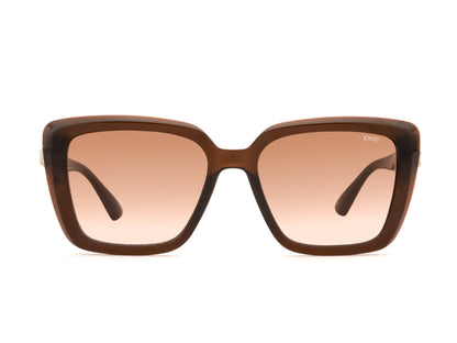 iDEE S3317 C2 54 SUNGLASSES