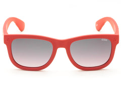 iDEE Y645 C1 49 SUNGLASSES