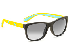 iDEE Y646 C1 48 SUNGLASSES