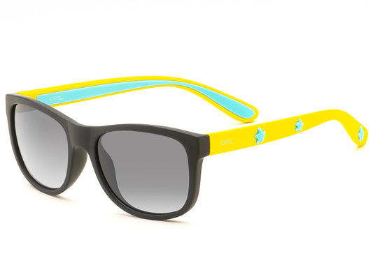 iDEE Y646 C1 48 SUNGLASSES