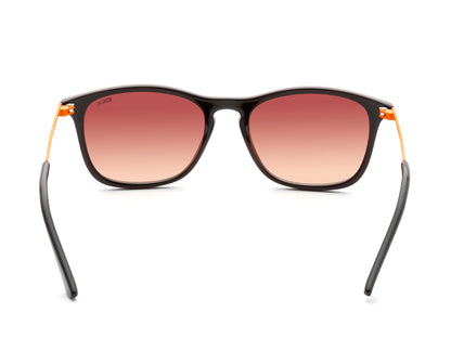 iDEE Y666 C2 49 SUNGLASSES