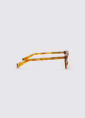 A SOCIETY OLLIE YELLOW HAVANA 48 SUNGLASSES