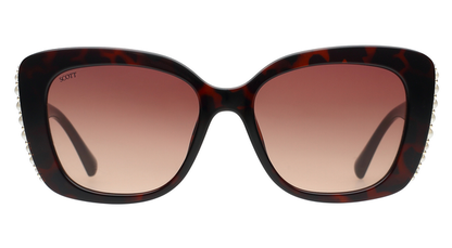 SCOTT SC3130 RENE C2 54 SUNGLASSES