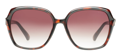 SCOTT SC3161 SUSEN C2 55 SUNGLASSES