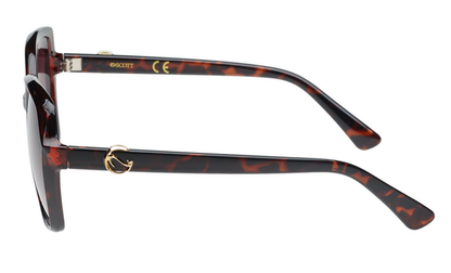 SCOTT SC3161 SUSEN C2 55 SUNGLASSES