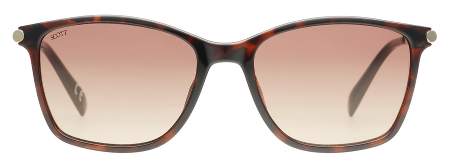 SCOTT SC3182 LVARA C2 54 SUNGLASSES