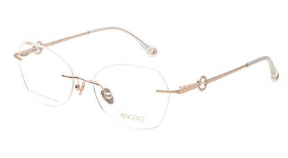 SCOTT SC9045 C2 53 FRAME