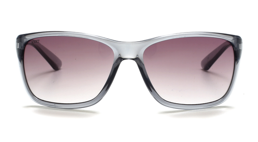 SCOTT SC2503 C3 61 SUNGLASSES