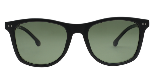 SCOTT SC2937PL C3 52 SUNGLASSES