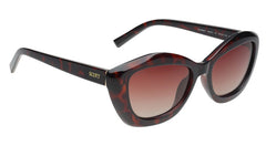 SCOTT SC2989PL C4 54 SUNGLASSES