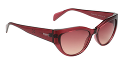 SCOTT SC2992 C3 55 SUNGLASSES