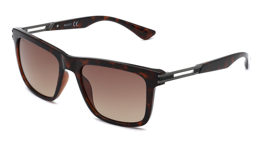 SCOTT SC3000 C2 54 SUNGLASSES