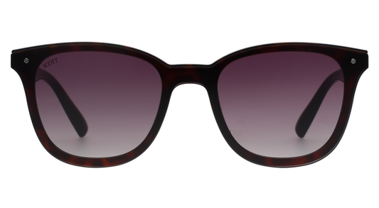 SCOTT SC3044 C2 NA SUNGLASSES