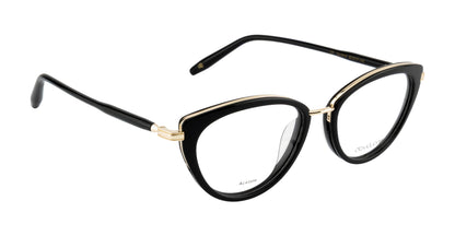 DAVID JONES DJ0418 C5 52 FRAME