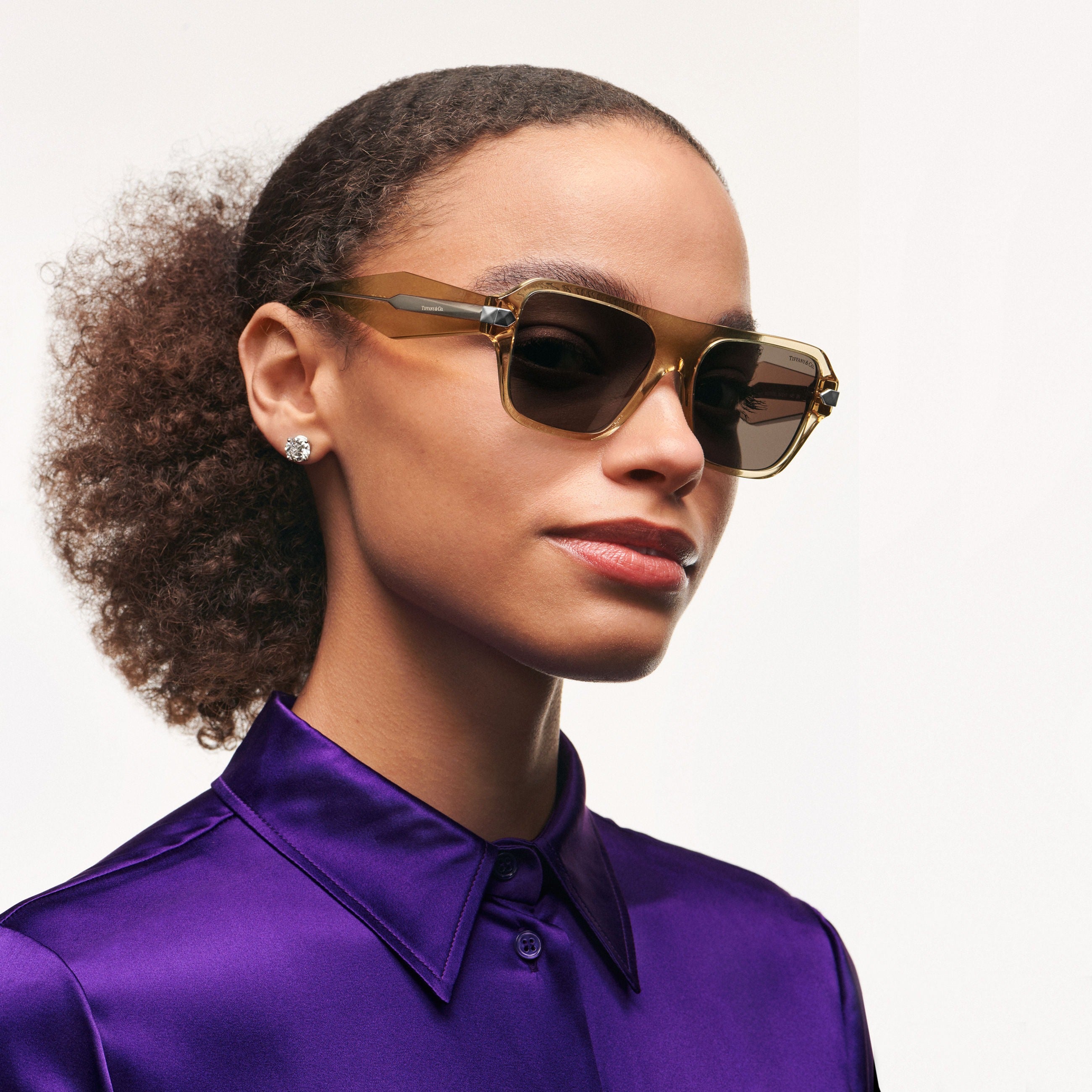 TIFFANY & CO TF4204 83773G 54 SUNGLASSES