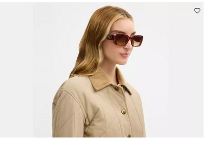 COACH HC8435U CBY83 5120T5 54 SUNGLASSES